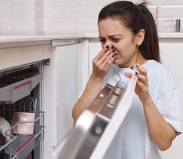 Dishwasher repair solutions in Dishwasher Repair Sanford