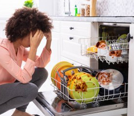 Fast solutions dishwasher repair in Dishwasher Repair Sanford