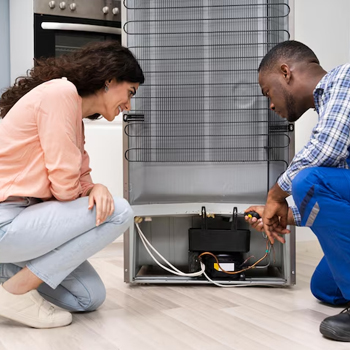 Exemplary replacement of refrigerator components, ensuring lasting performance and optimal functionality. Premium Component Replacement